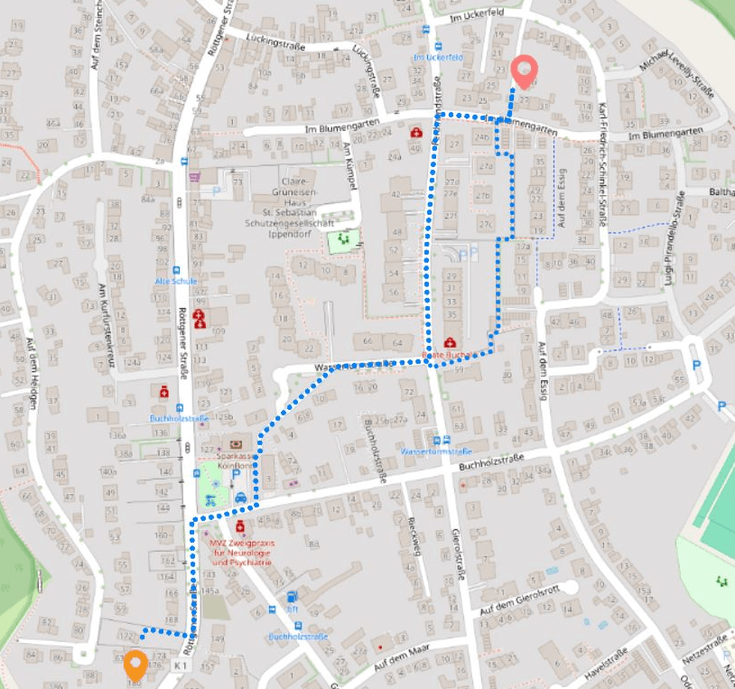 Street map showing computed optimal and alternative routes